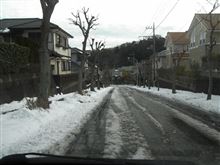 GD1 スタッドレスで雪道散歩