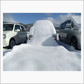 雪の造形美