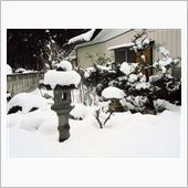 やっぱり機械にはかなわない・ ...