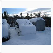 46年ぶりの大雪！