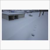 １日遅れで大雪がやって来たヤ ...