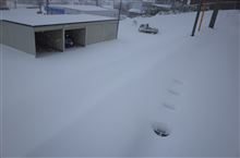 １日遅れで大雪がやって来たヤァ！ヤァ！ヤァ！