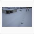 １日遅れで大雪がやって来たヤァ！ヤァ！ヤァ！