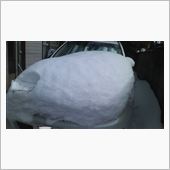 大雪でした！