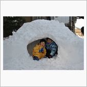 これだけ降ってくれると・・・