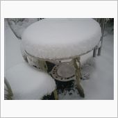 土曜日の雪