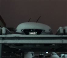 大雪の影響