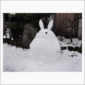 奈良盆地でも結構な雪が積りま ...