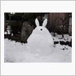 奈良盆地でも結構な雪が積りました。