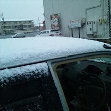 さすがに今回は降りました