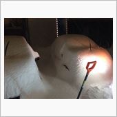 また雪かよ💢