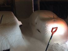 また雪かよ💢