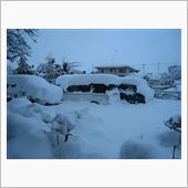 １週間ぶりの大雪（笑）