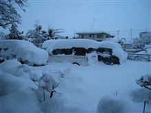 １週間ぶりの大雪（笑）