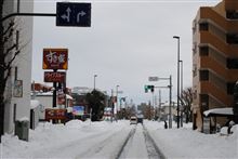 雪先なし