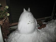 想定外に雪の量が多かったので、走らずにちょっと