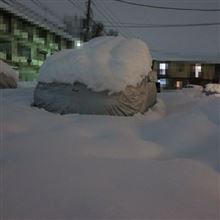 豪雪てん末記(2014年2月15-16日)
