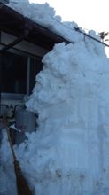 ぜんぶ雪のせいだ。