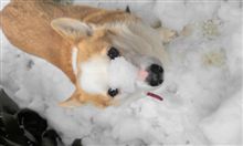雪 無音 窓辺にて みんカラ 車 自動車sns ブログ パーツ 燃費 整備 雪 無音 窓辺にて みんカラ 車 自動車sns ブログ パーツ 燃費 整備