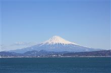 青と白の誘惑の日