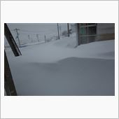 こんなの初めて！(#^_^#)
