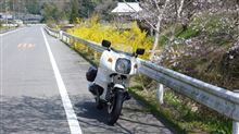 春になれば