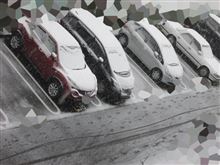 雪大丈夫ですかー？