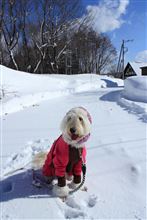 岐阜県ひるがの高原へ雪遊びに行ってきました～２日目(*^_^*)