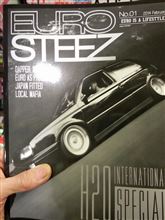 EURO STEEZ