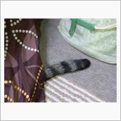 携帯のバッテリーがヤバイっす。
