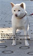 人間のセンサー