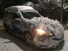 [東京にも2週連続で大雪] その3・雪道での意外な落とし物 