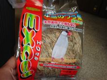 今日は暖かったなぁ・・・・