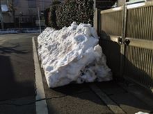一週間経ってもこんな感じ