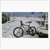 自転車通勤
