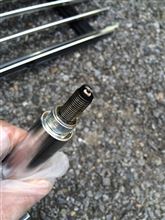 まだ薄い
