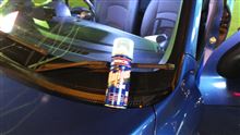 久し振りの洗車