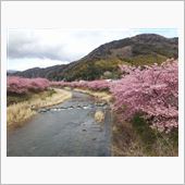春を求めて伊豆の旅ヽ( ・▽ ...