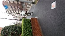 おなかに赤ちゃんがいます