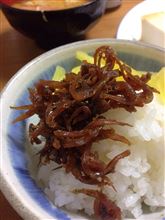 関西より春の便りが来たー！