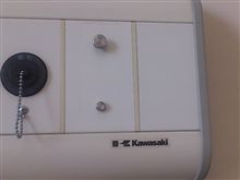 漢 カワサキ(笑)