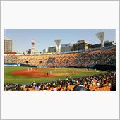 野球観戦（横浜DeNA VS ...