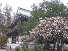 ちょっとだけ東京物語　その２