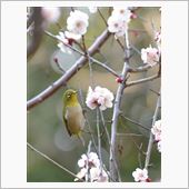 近所の公園で