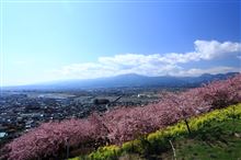 春はまだ来ないのかーー（＾＾；