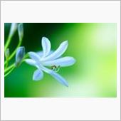 震災から３年が・・・・