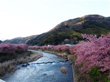 久々ドライブ