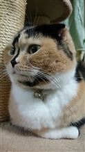 偶然にも(#^.^#)
