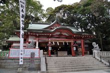ZN6 パワースポット　来宮神社の大楠