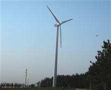 第35回新舞子サンデー